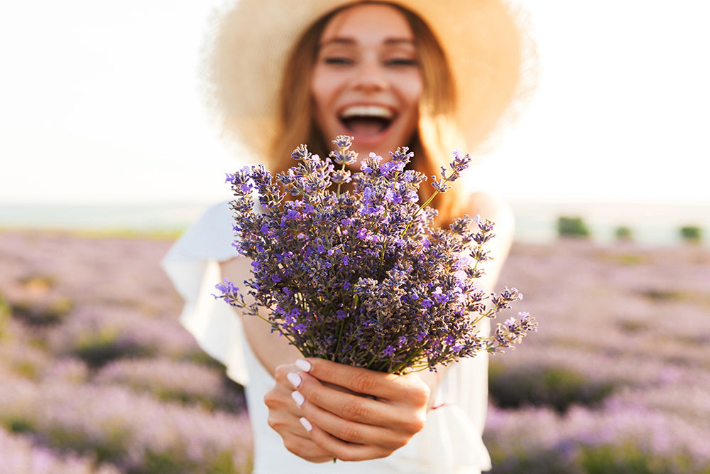 Lovely Lavender